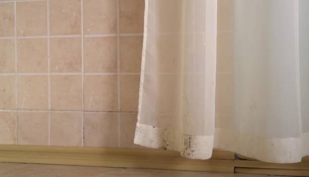 Best Mold Removal for HVAC Installations  in Calhoun Falls, SC