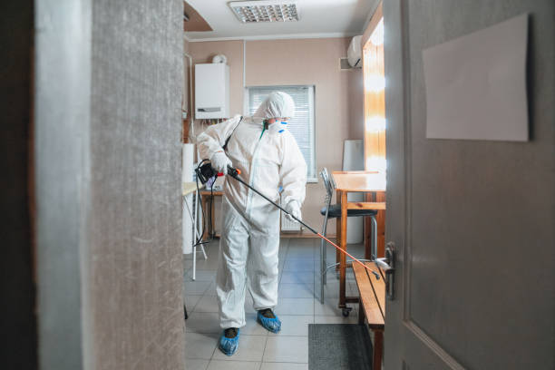 Best Biohazard Mold Removal  in Calhoun Falls, SC