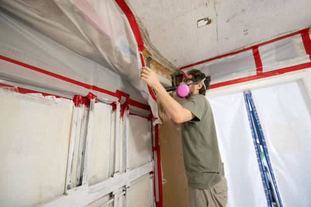 Best Mold Remediation for Vacation Homes  in Calhoun Falls, SC